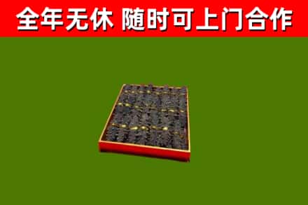 北屯市回收海参